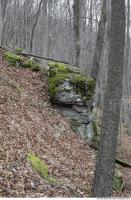 rock cliff overgrown moss 0006
